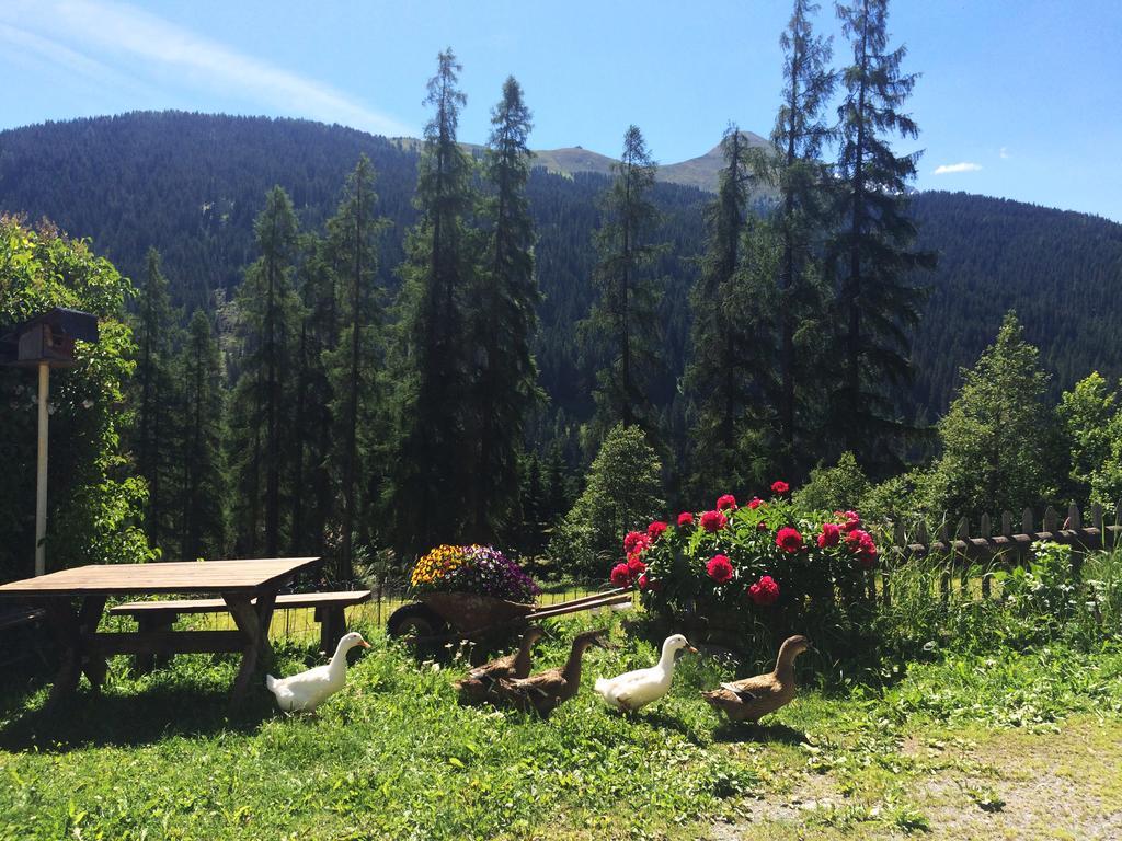 Bnb Guesthouse Lusi Frauenkirch Exterior foto